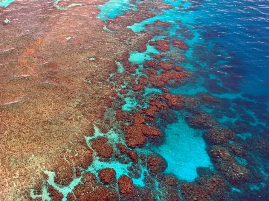 The end of the Great Barrier Reef